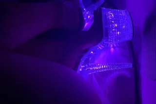 Blue eye demon - Image 4